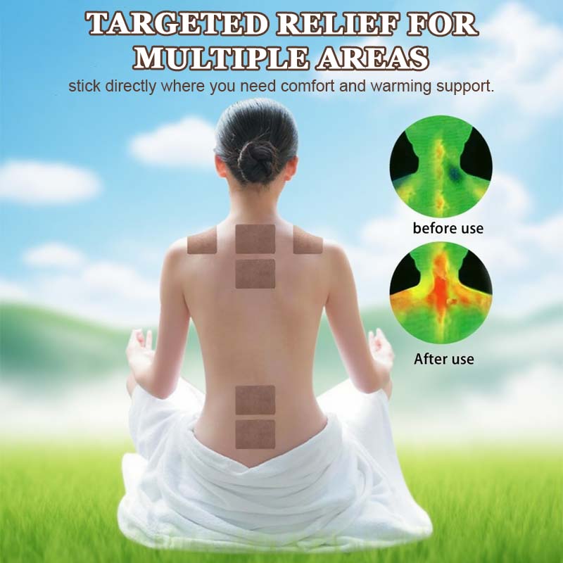 🔥2026 Hete verkoo 🎁Malmört Moxibustion Gewrichtspleisters