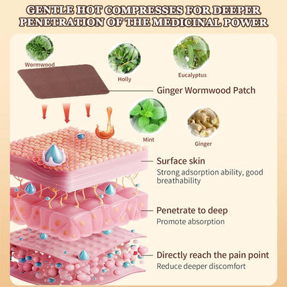 🔥2026 Hete verkoo 🎁Malmört Moxibustion Gewrichtspleisters