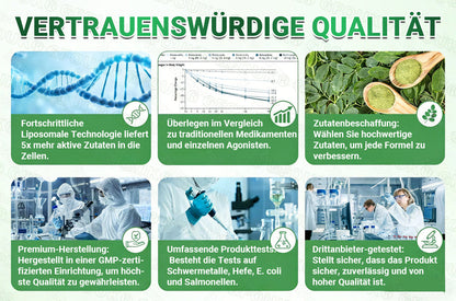 Offizieller Shop I🦅👨‍⚕️GFOUK® NAD+ 10-in-1-Pflaster mit fortschrittlicher Nano-Mikronadel-Technologie